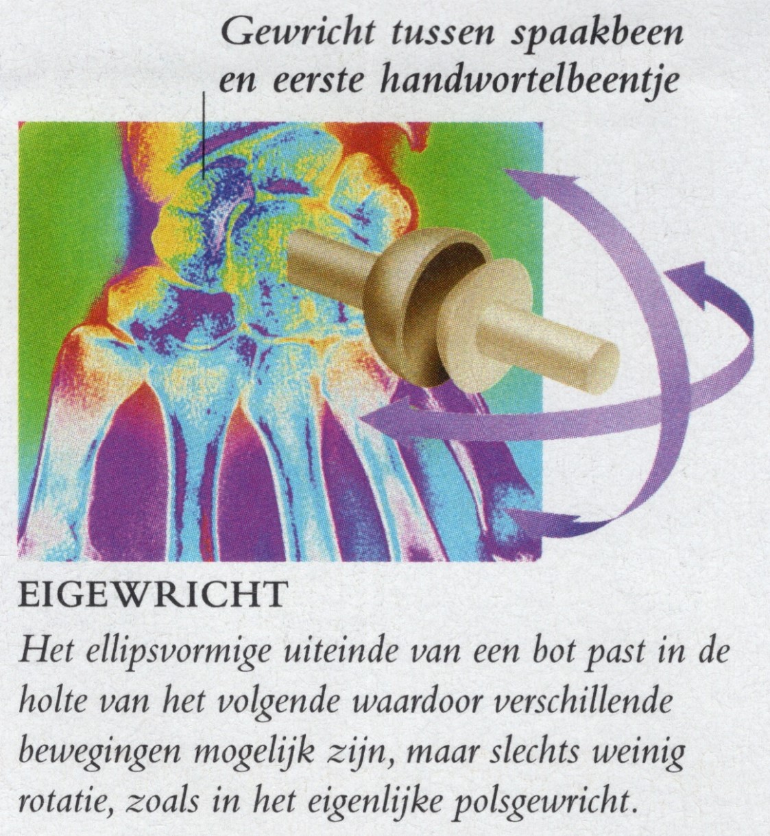 hand