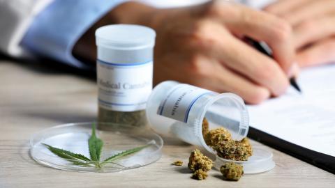 medicinale cannabis